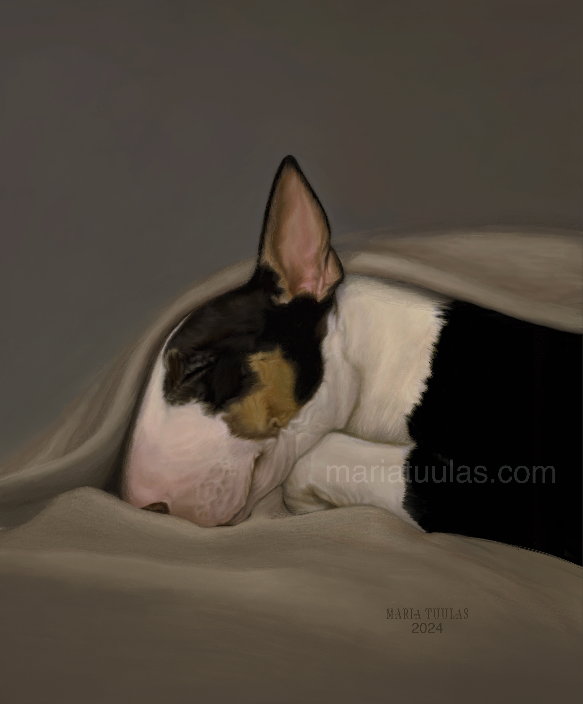 Bull Terrier